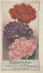 D. M. Ferry & Co.