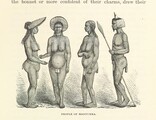 British Library digitised image from page 319 of "Across Africa, etc [With a map and plates.]"