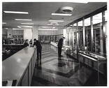 History of Medicine Division, new reading room