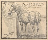 Cheval boulonnais