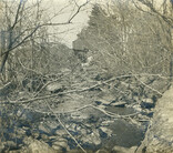 Molyneaux mill