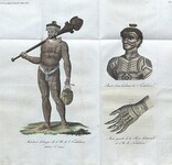 Tatouages d'un insulaire de Noukahiwa