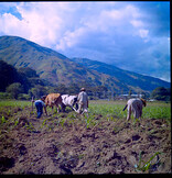 CAL14412.JPG