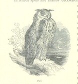 British Library digitised image from page 188 of "The Thames from its Source to the Sea ... Illustrated with ... engravings ... and ... etchings, etc"