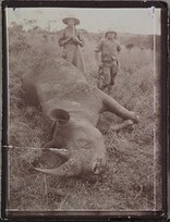 â€œMy third rhinoceros fell after a difficult battle, in which I myself and my riffle carrier almost got killed. The view is a typical shrubland with hills. Standing next to me are my two children.â€