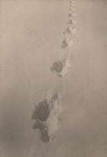 Wolf tracks, Jake Lake, Algonquin Park, date unknown