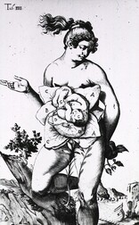 Development of the fetus