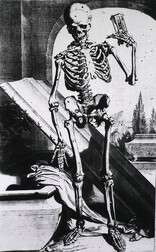 Skeleton