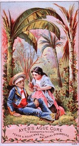 Ayer's Ague Cure Is Warranted To Cure Fever & Ague And All Malarial Disorders