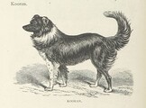 British Library digitised image from page 52 of "Kenneth McAlpine: a tale of mountain, moorland, and sea"