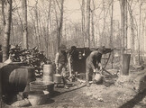 Pouring sap, 1908