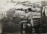 NMFF.001731