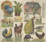 Blackwell's Durham Tobacco Company