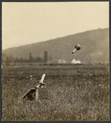 Demonstration of trench mortar (bomb in air)