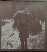 Carrying the prey across water. ; Photograph 2.