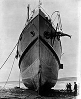 Bow only from W. Nichols