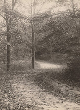 When the leaves begin to fall, 1910