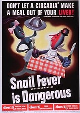 Don't let a cercaria make a meal out of your liver, snail fever (schistosomiasis) is dangerous