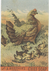 A. Hoefner (Manufacturers)