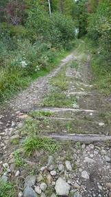 Corduroy Road - Addington Colonization Road