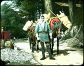 Man in local attire with loaded packhorses.