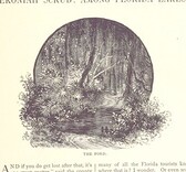 British Library digitised image from page 71 of "Here and There in our own Country. Embracing sketches of travel and descriptions of places, etc, etc. By popular writers (Edmund Kirke, Louise Seymour Houghton [and others]) . With 127 illustrations"