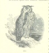 British Library digitised image from page 188 of "The Thames from its Source to the Sea ... Illustrated with ... engravings ... and ... etchings, etc"