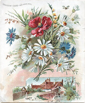 Woolson Spice Co.