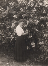Woman picking lilacs, 1907