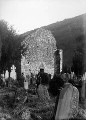 Searching for family roots?