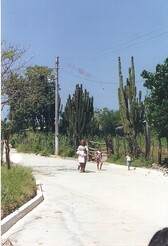 Image (16)