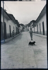 CAL15565.JPG