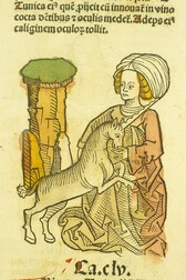 Vnicornus uarius