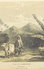 British Library digitised image from page 252 of "Borneo and the Indian Archipelago"