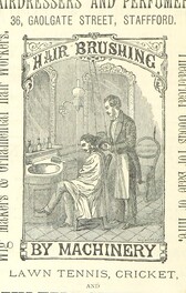 British Library digitised image from page 176 of "History of Stafford and Guide to the Neighbourhood. Illustrated with wood engravings"