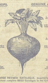 British Library digitised image from page 118 of "Botany Bay past and present"