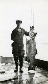 View of foreman Angus McDonald with a Co-op salmon at Pacific Coast Fishermen's Union (P.C.F.U.) fish buying camp at Stuart Island Landing, B.C