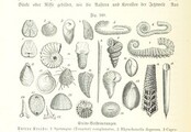 British Library digitised image from page 688 of "Unser Wissen von der Erde. Allgemeine Erdkunde und LÃ¤nderkunde, herausgegeben unter fachmÃ¤nnischer Mitwirkung von A. Kirchhoff"