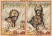 Pond's Extract Co.