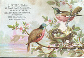 J. Weild, Baker