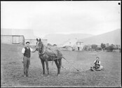 Horse drawn sled, Tasmania (c1900s)