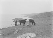 Achill Island