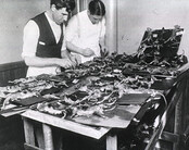 Two men dissecting rats nailed to shingles, San Francisco, Calif.