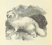 British Library digitised image from page 638 of "Notable Voyagers from Columbus to NordenskÃ¯old. By W. H. G. K. and H. Frith"