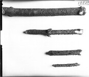 Western College tree bark specimens 1911