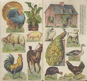 Blackwell's Durham Tobacco Company