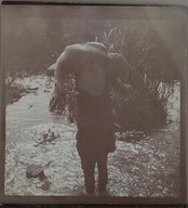 Carrying the prey across water. ; Photograph 2.