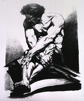 Musculature of the Human Body