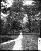 Path through lower campus 1906