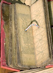 Sinhala palm-leaf medical manuscripts, open leaves, large image